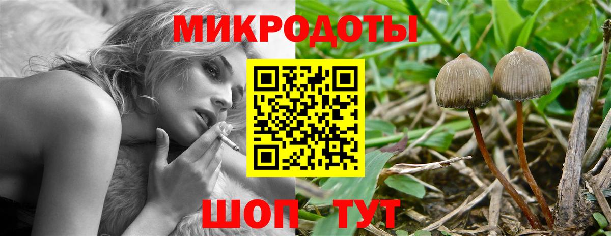 Отрадное  Галлюциногенные грибы Magic Shrooms  Вход с VPN 